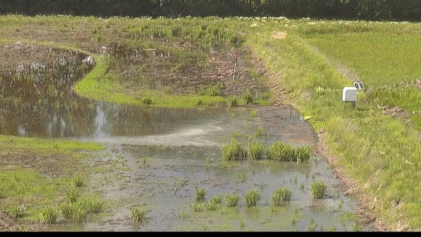 capture-14-22-06-02_16-43-56-33