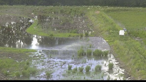 capture-14-22-06-02_17-46-19-29