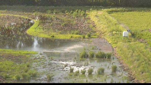 capture-14-22-06-02_18-48-42-35