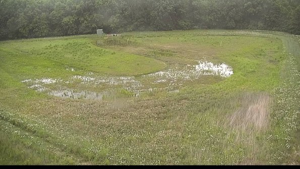 capture-15-22-06-02_07-22-39-54