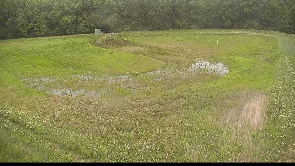 capture-15-22-06-02_08-25-03-20