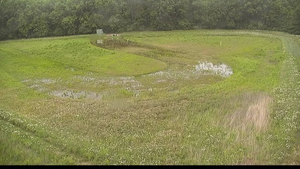 capture-15-22-06-02_09-27-25-29