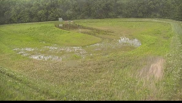 capture-15-22-06-02_10-29-49-42