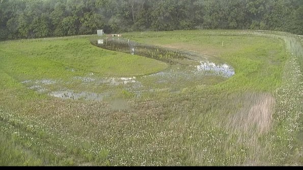 capture-15-22-06-02_17-46-33-41