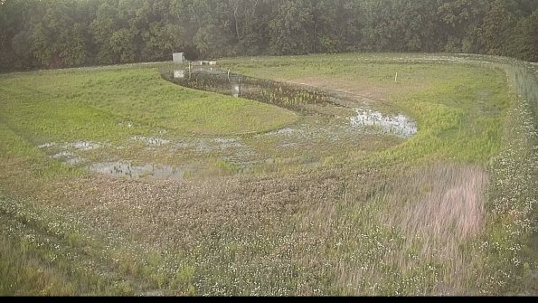 capture-15-22-06-02_20-53-43-79