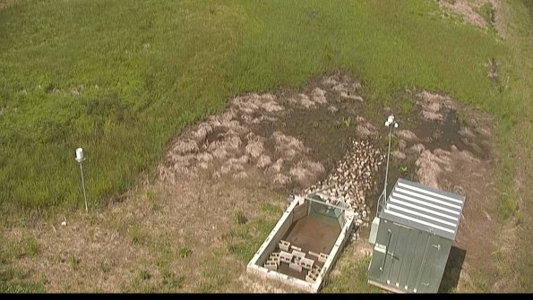 capture-3-22-06-02_11-30-47-29