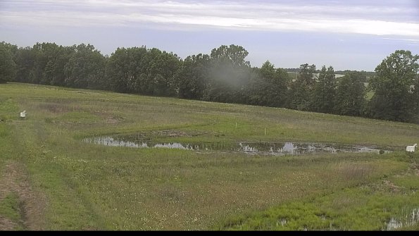 capture-4-22-06-02_07-21-43-35