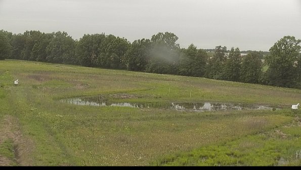 capture-4-22-06-02_08-24-06-31