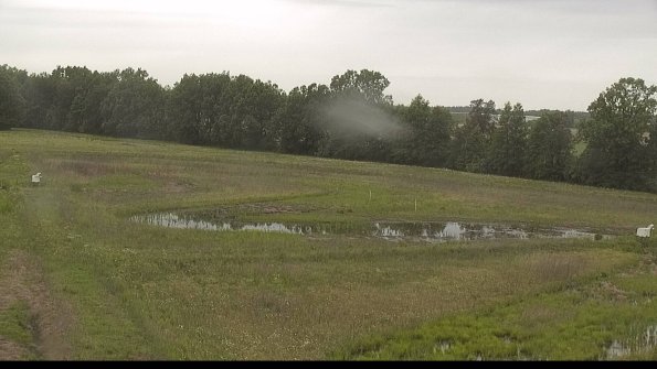 capture-4-22-06-02_09-26-30-24