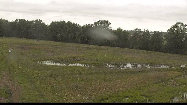 capture-4-22-06-02_10-28-52-29