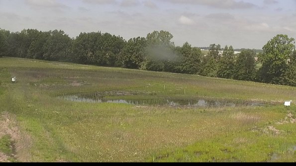 capture-4-22-06-02_11-31-17-22