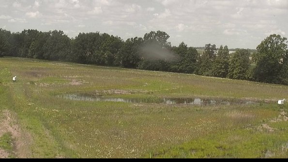 capture-4-22-06-02_12-33-40-42