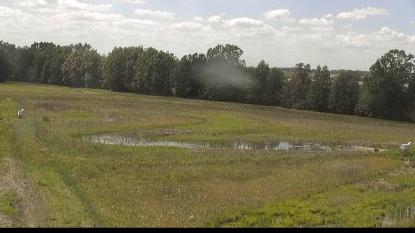 capture-4-22-06-02_15-40-51-23