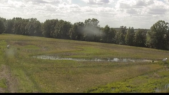 capture-4-22-06-02_16-43-15-13