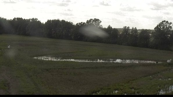 capture-4-22-06-02_17-45-38-19