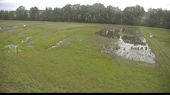 capture-6-22-06-02_07-22-11-51