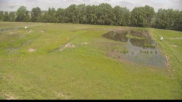 capture-6-22-06-02_11-31-45-42