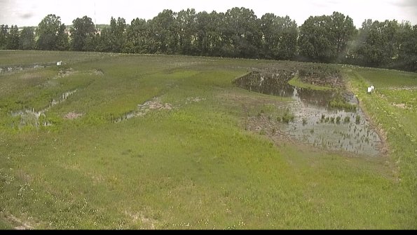 capture-6-22-06-02_12-34-09-41