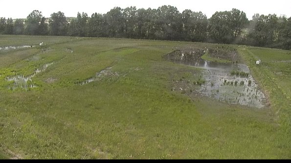 capture-6-22-06-02_15-41-19-89