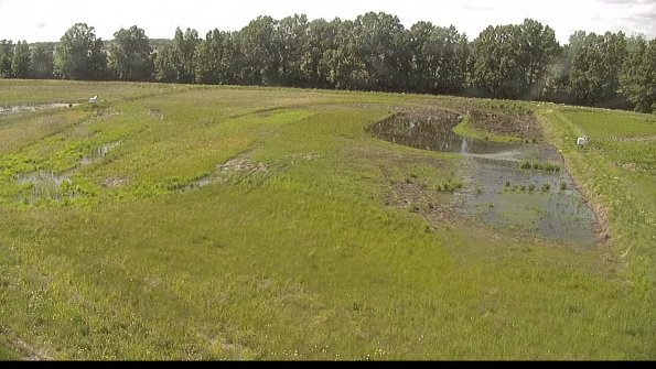 capture-6-22-06-02_16-43-42-65