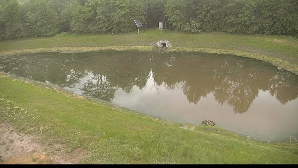 capture-8-22-06-02_07-21-00-04