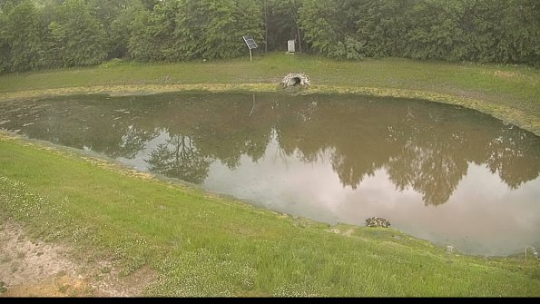 capture-8-22-06-02_08-10-44-41