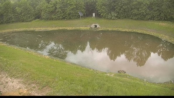 capture-8-22-06-02_08-11-40-40