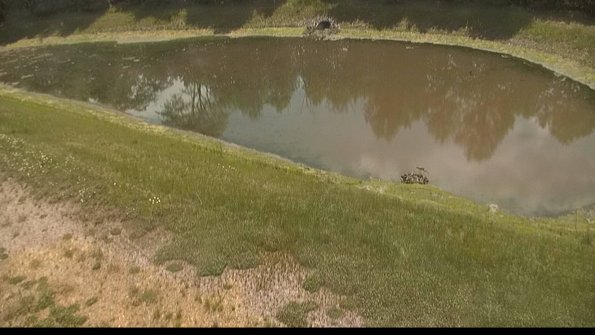 capture-8-22-06-02_11-30-32-34