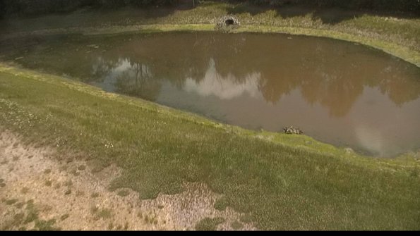 capture-8-22-06-02_12-32-56-47