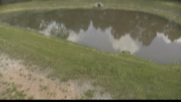 capture-8-22-06-02_13-35-20-40