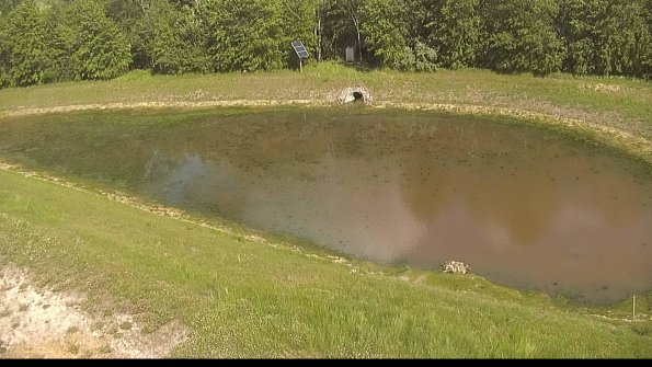 capture-8-22-06-02_16-42-31-05