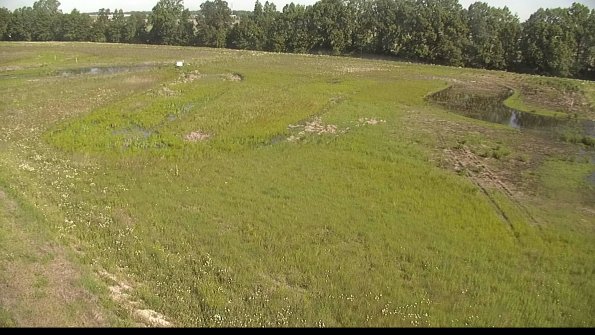 capture-1-22-06-03_09-22-53-32