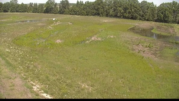 capture-1-22-06-03_11-27-39-40