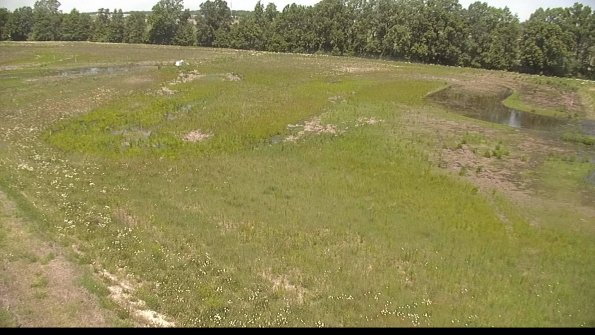 capture-1-22-06-03_12-30-04-27