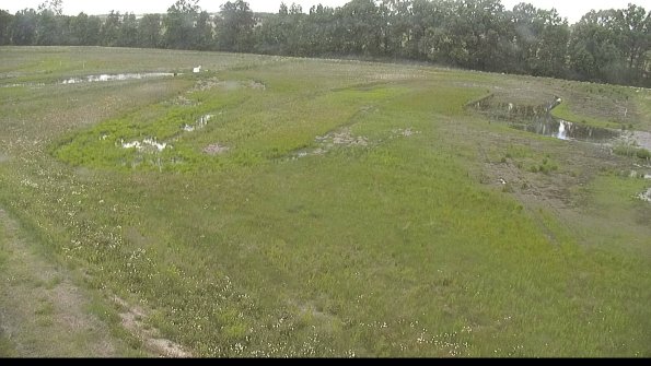 capture-1-22-06-03_14-34-52-22