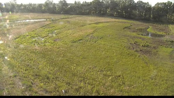 capture-1-22-06-03_18-44-26-69