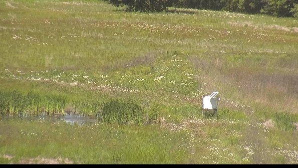 capture-12-22-06-03_11-26-01-34