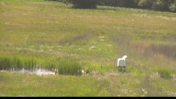 capture-12-22-06-03_15-35-36-44