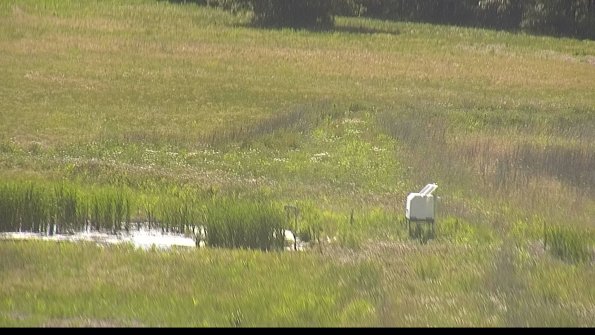 capture-12-22-06-03_16-38-00-30