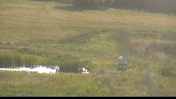 capture-12-22-06-03_18-42-48-29