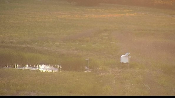 capture-12-22-06-03_20-47-35-44