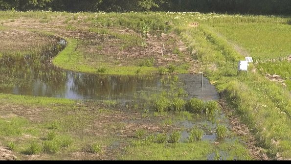 capture-14-22-06-03_09-22-11-51