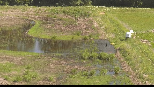 capture-14-22-06-03_10-24-34-40