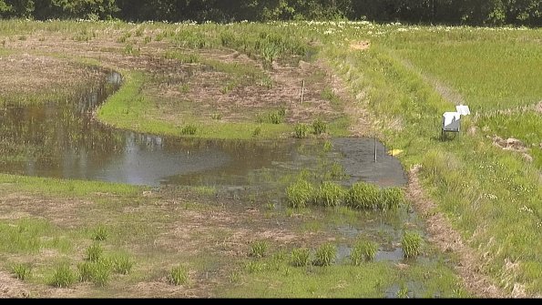 capture-14-22-06-03_11-26-57-33