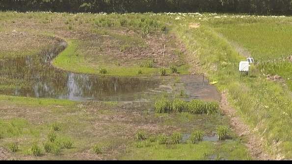 capture-14-22-06-03_15-36-33-30