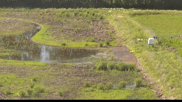 capture-14-22-06-03_17-41-21-32