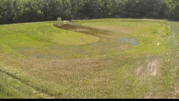 capture-15-22-06-03_10-24-48-41