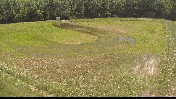 capture-15-22-06-03_11-27-11-44