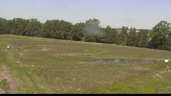 capture-4-22-06-03_11-26-15-39