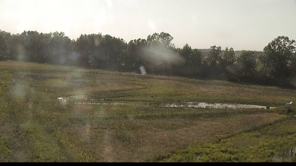 capture-4-22-06-03_18-43-02-37